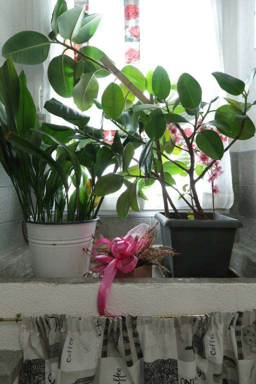 foto9