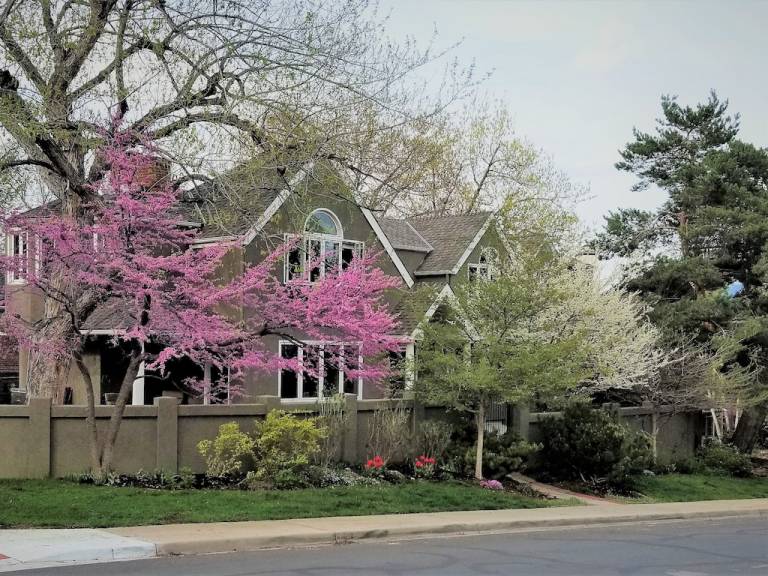 House  Boulder