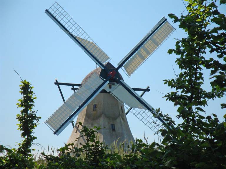foto2
