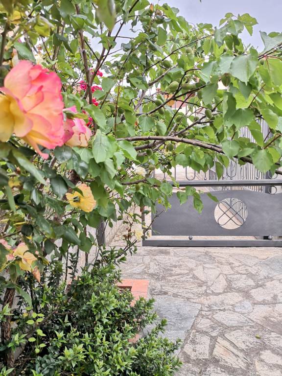foto4
