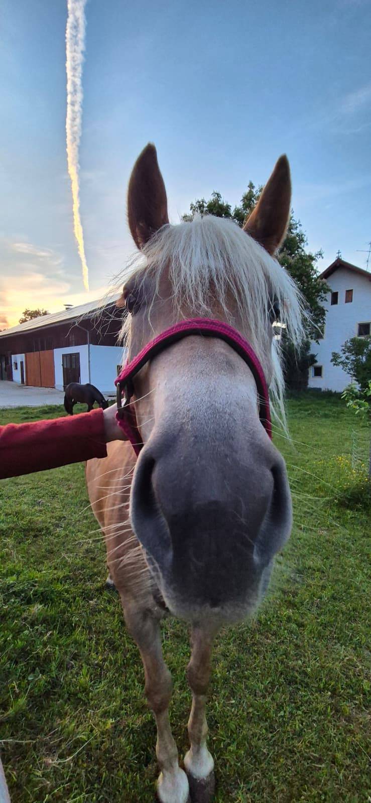 Ferienwohnung in Hörgering, Bayern, Deutschland