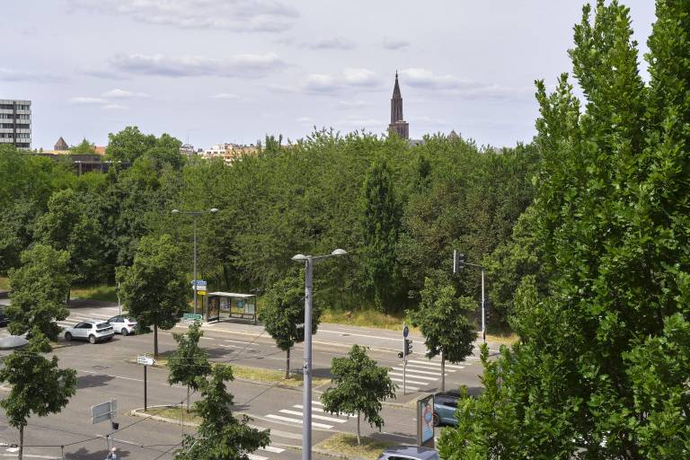 foto21
