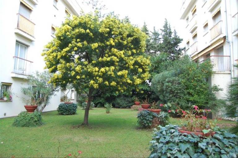 Apartman  Monaco