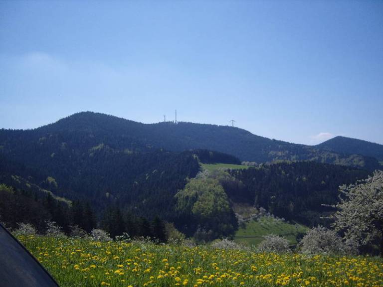 foto22