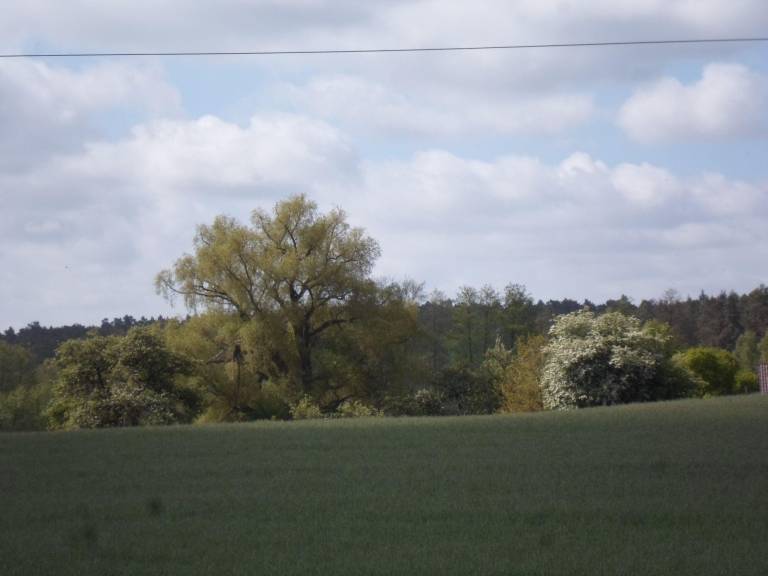 foto7
