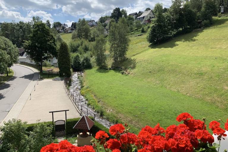 foto16