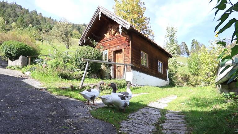 foto17