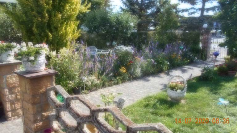 foto19
