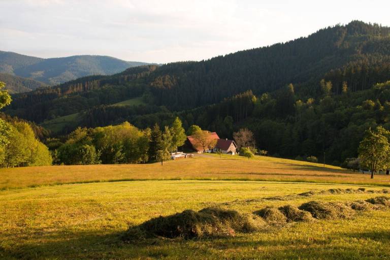 foto21
