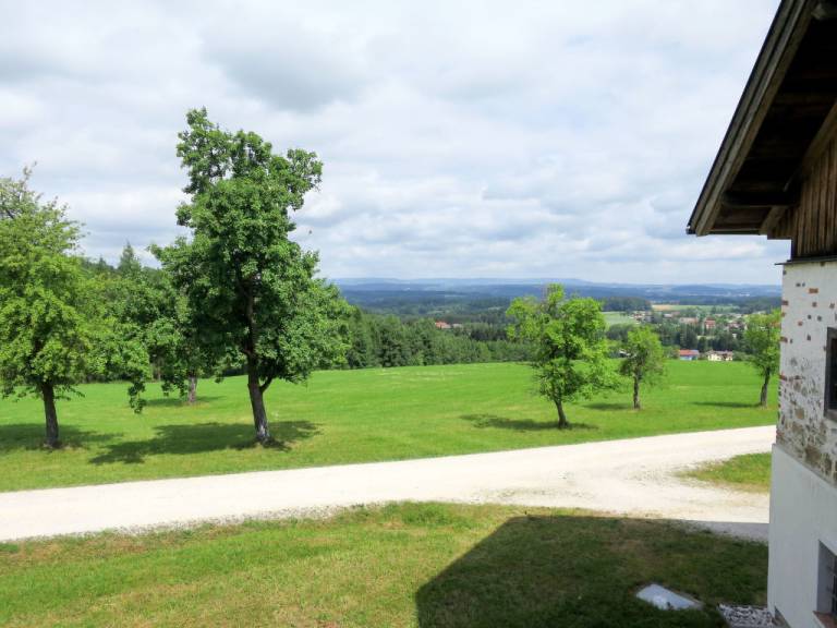 foto21