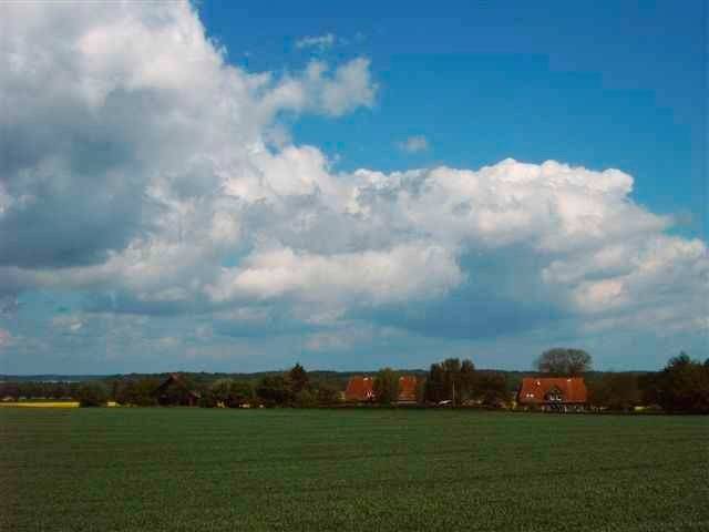 foto14