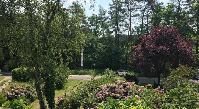 foto17