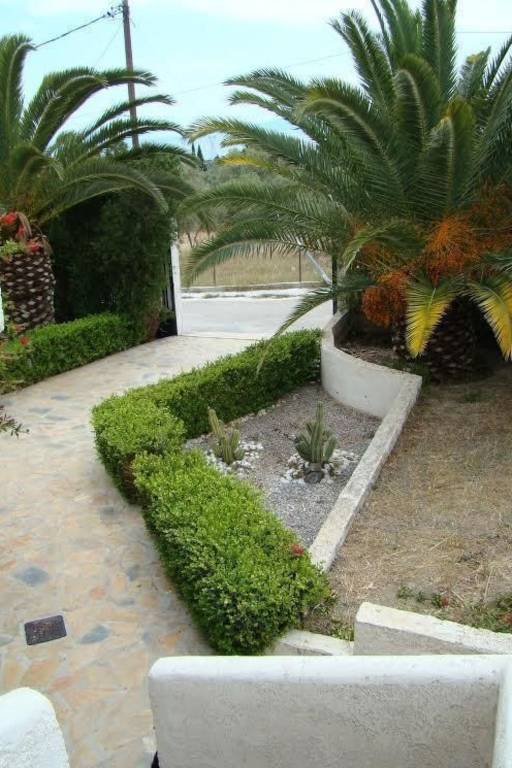 Apartment with garden — photo 2
