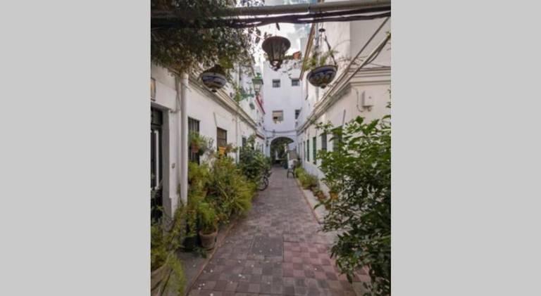 Triana Central Oasis Courtyard — photo 5