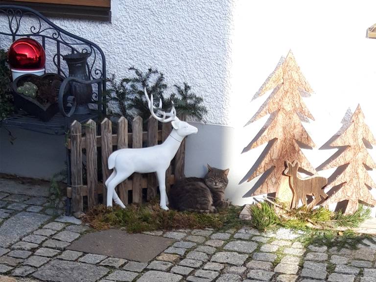 foto15