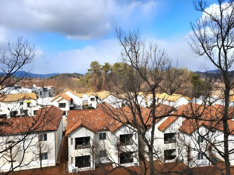 foto40