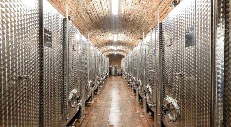Terra Wylak Winery — photo 5