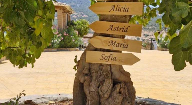 Rental apartment with terrace, garden & pool in Ronda