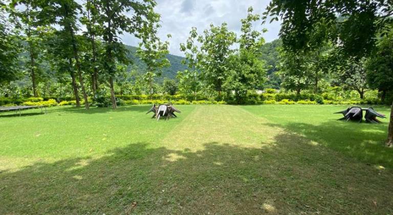 foto10