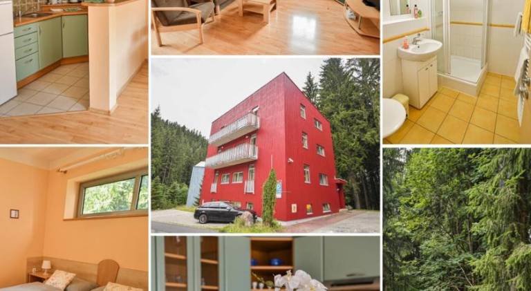 Beautiful apartment with patio & garden | Pet-friendly in Harrachov