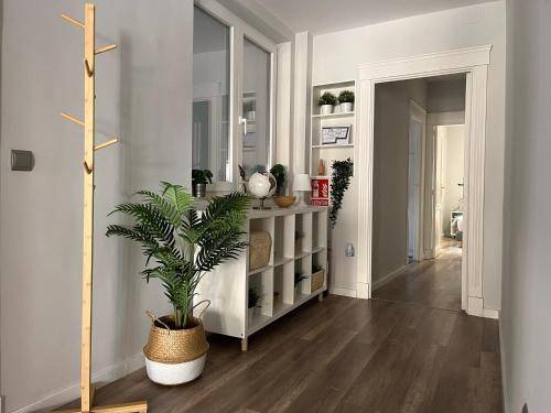 Apartamento Zamora