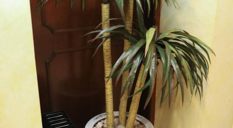 Boutique Rosas Satelite