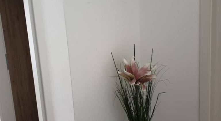 Apartment | Ski nearby | Pet-friendly — photo 5
