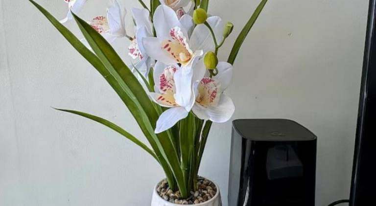 Fully equipped beautiful rental apartment | Dogs allowed — photo 5