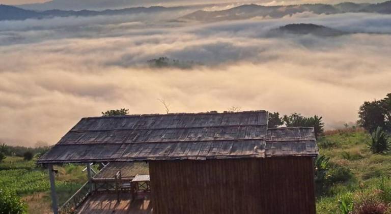 ดอยสะโง้วิวโฮมสเตย์บ้านริมผา — photo 4
