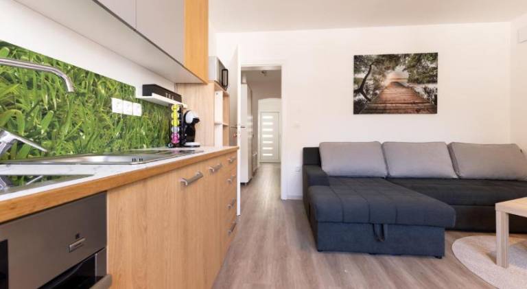 Apartma Senicica — photo 3