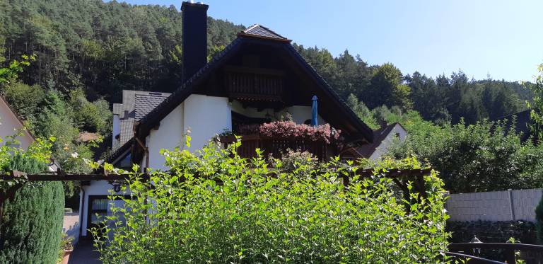 foto11