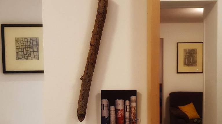 foto21