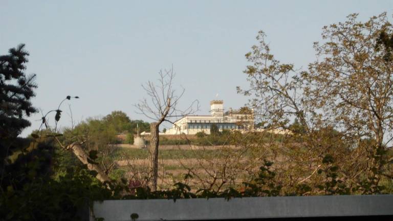 foto2