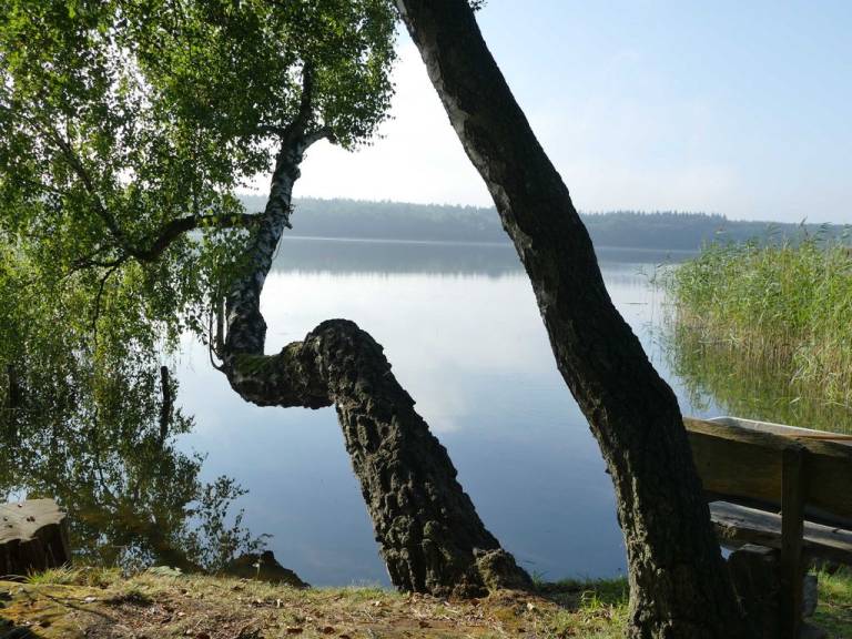 foto16