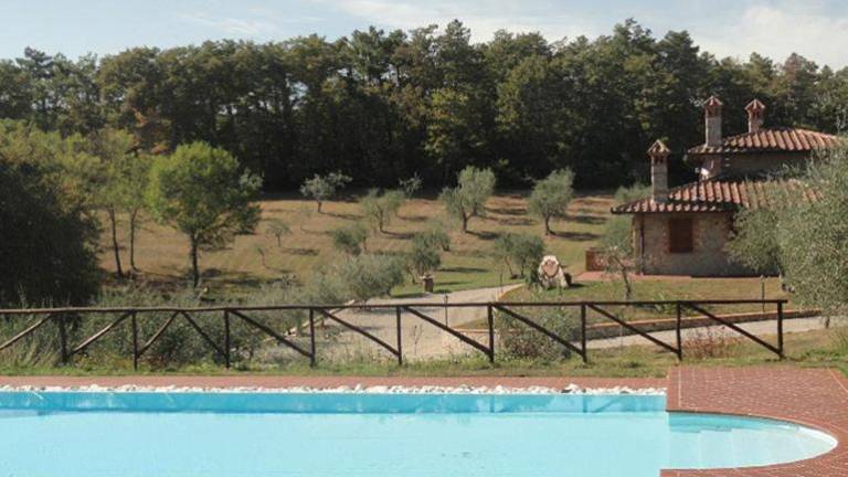 Villa with pool — photo 4