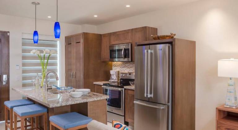 V Azul Vallarta - Luxury Vacation Rental Adults Only — photo 5