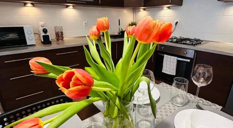 Rental apartment with 1 room for 4 persons — photo 4