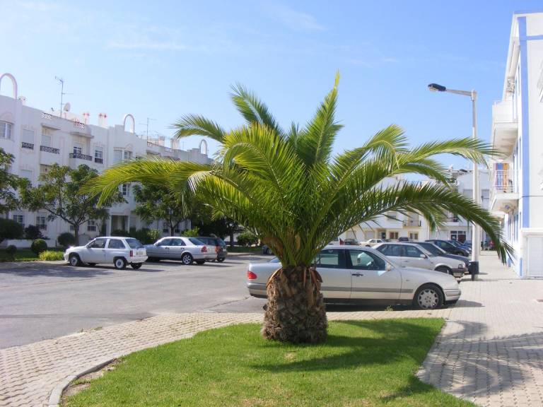 foto1