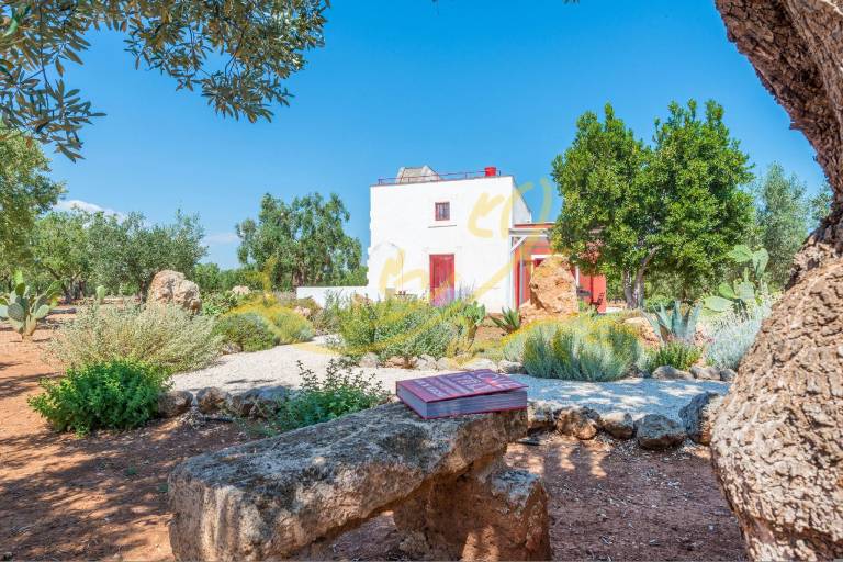 Fully equipped wonderful rental apartment with yard, terrace & barbeque | Pets are welcome in Fasano