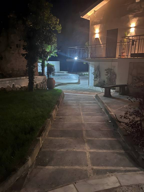 foto14