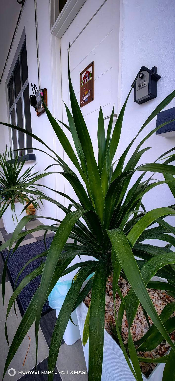 foto34