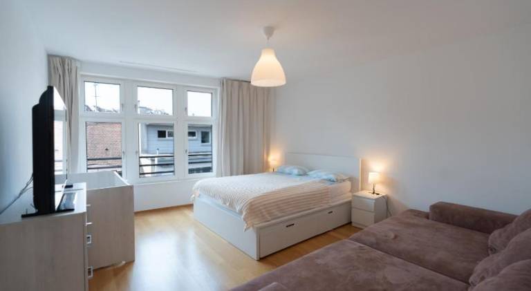 Rooftop Loft City Center, 2BR, Open Kitchen Island - New Renovated in Muttenz