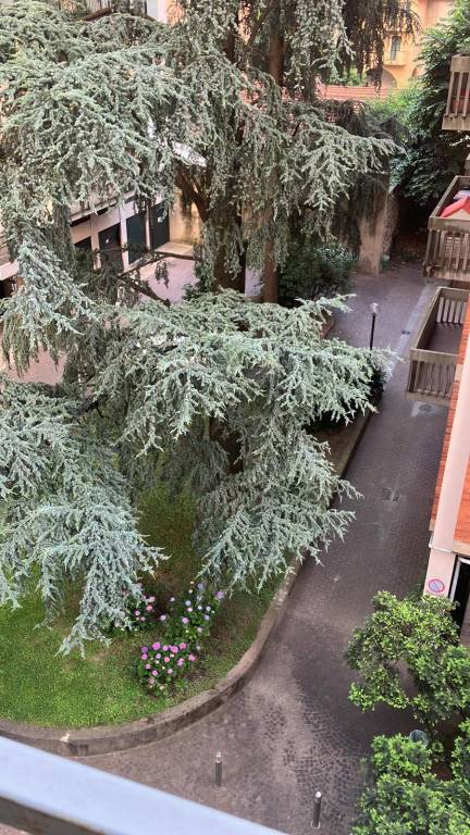 foto16