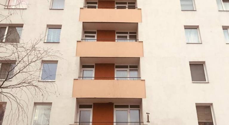 Rental apartment | Pet-friendly — photo 4