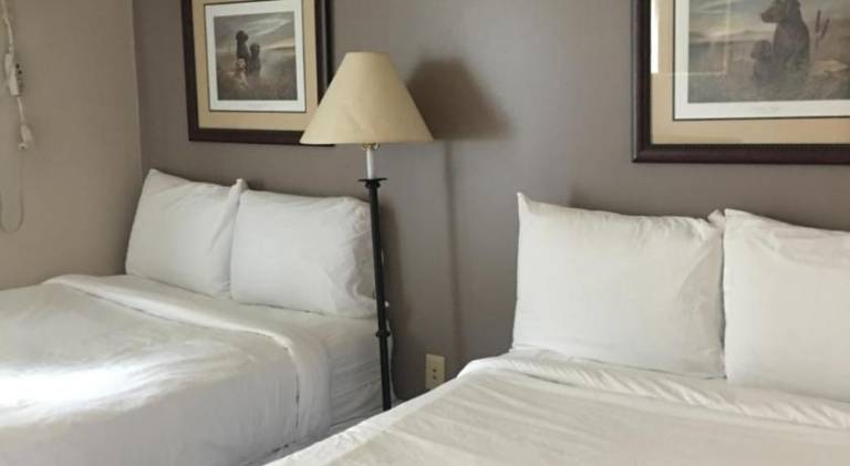All Suites Inn Budget Host — photo 2