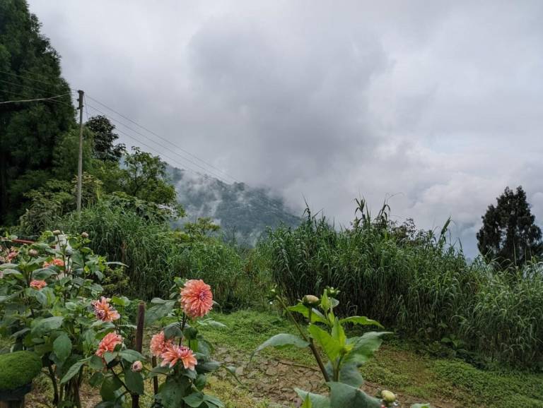 Boho Homestay, Rangbhang — photo 4