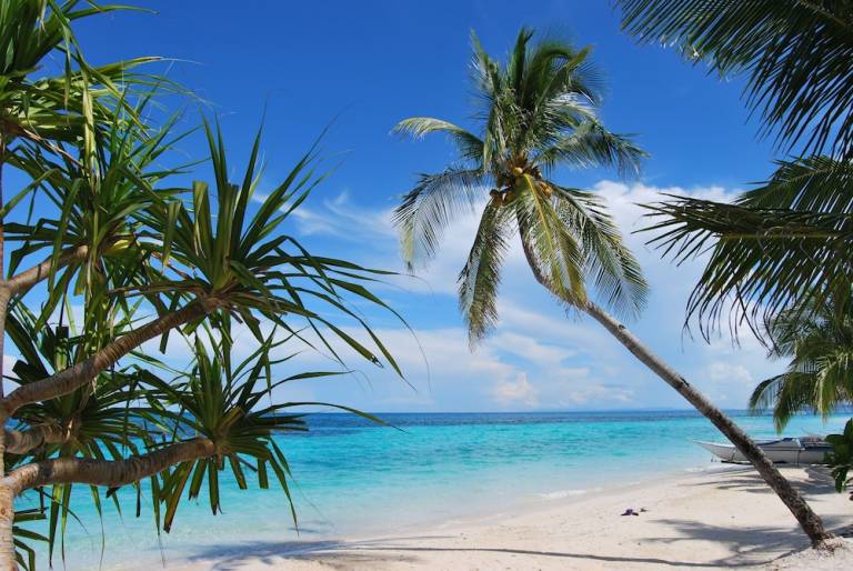 Resort  Logon