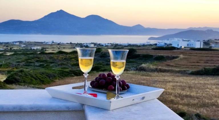 Lovely serviced apartment with terrace & garden | Pet-friendly in Naxos
