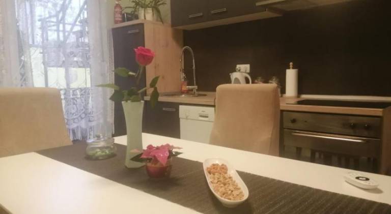 Nice rental apartment | Pets allowed — photo 3