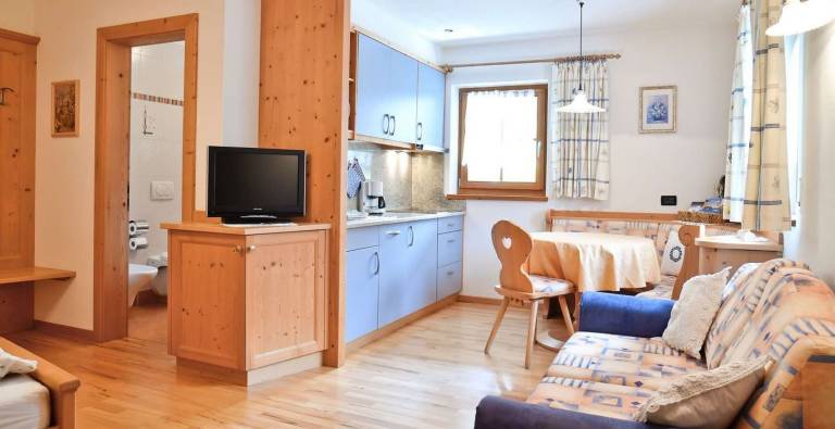 Apartment "Ciasa Mirio Sass" with Mountain View, Wi-Fi & Garden in San Martino in Badia